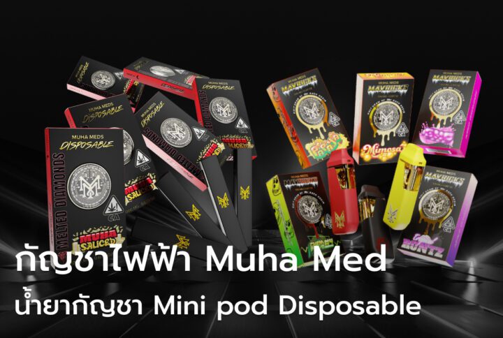 กัญชาไฟฟ้า Muha Meds สินค้ากัญชา บุหรี่ไฟฟ้ากัญชา พอต Disposable